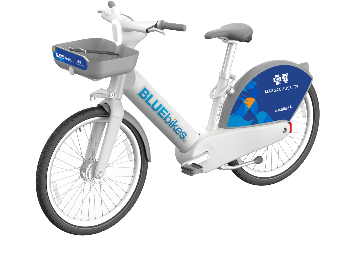 Blue Bike Usage Dashboard